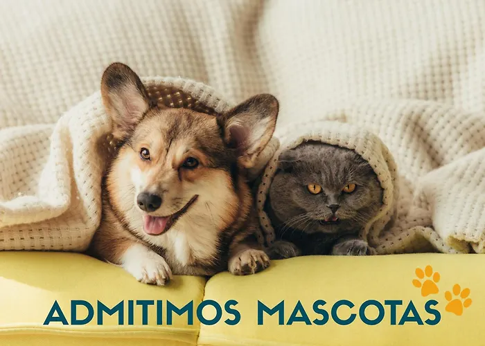 3000 Διαμέρισμα
